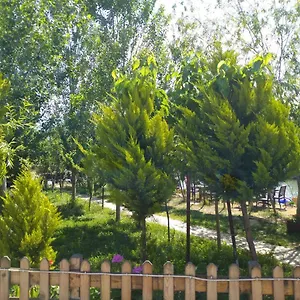 Deniz Kizi Garden Frühstückspension